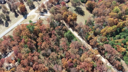 Business Opportunity near Bull Shoals Lake in Pontiac MO - image 35