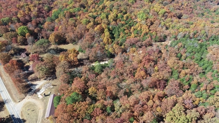 Business Opportunity near Bull Shoals Lake in Pontiac MO - image 43