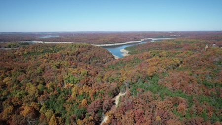 Business Opportunity near Bull Shoals Lake in Pontiac MO - image 26