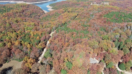 Business Opportunity near Bull Shoals Lake in Pontiac MO - image 41