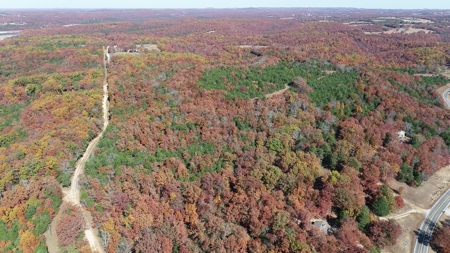 Business Opportunity near Bull Shoals Lake in Pontiac MO - image 38