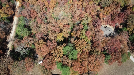Business Opportunity near Bull Shoals Lake in Pontiac MO - image 27