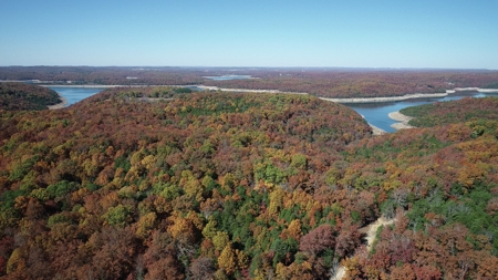 Business Opportunity near Bull Shoals Lake in Pontiac MO - image 29