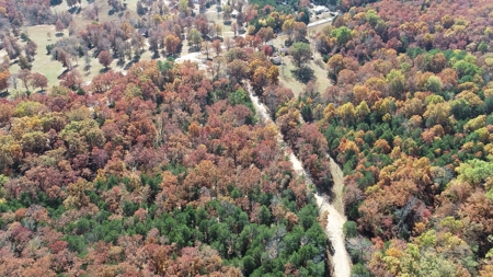 Business Opportunity near Bull Shoals Lake in Pontiac MO - image 44