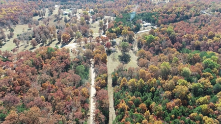 Business Opportunity near Bull Shoals Lake in Pontiac MO - image 45