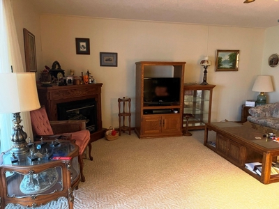Retirement Home in Horseshoe Bend, AR - image 8