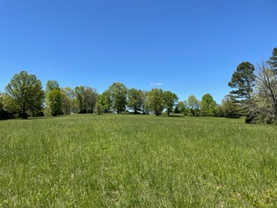 Cattle Ranch / Hunting Land For Sale in Arkansas - image 13