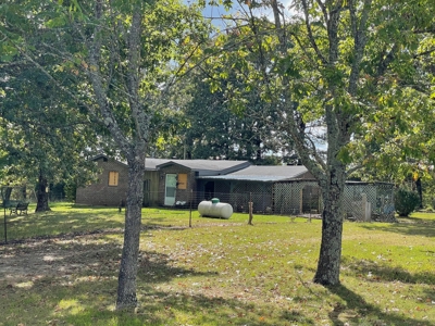 Cattle Ranch / Hunting Land For Sale in Arkansas - image 1