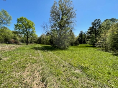 Cattle Ranch / Hunting Land For Sale in Arkansas - image 18