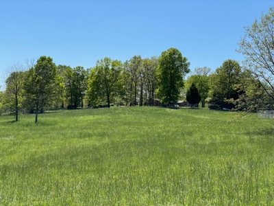 Cattle Ranch / Hunting Land For Sale in Arkansas - image 15