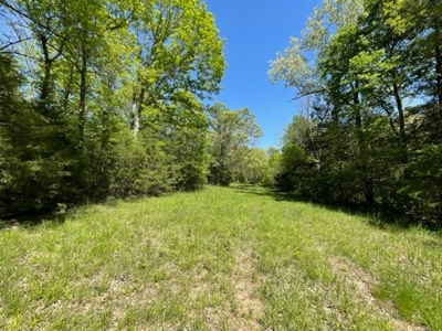 Cattle Ranch / Hunting Land For Sale in Arkansas - image 19