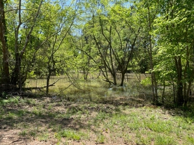 Cattle Ranch / Hunting Land For Sale in Arkansas - image 12