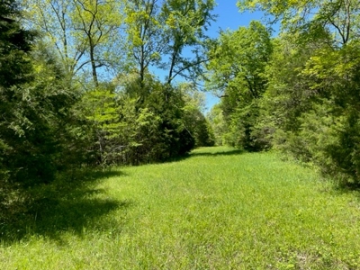 Cattle Ranch / Hunting Land For Sale in Arkansas - image 22