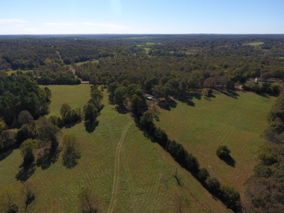 Cattle Ranch / Hunting Land For Sale in Arkansas - image 10