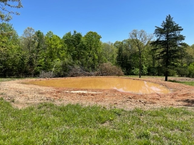 Cattle Ranch / Hunting Land For Sale in Arkansas - image 11
