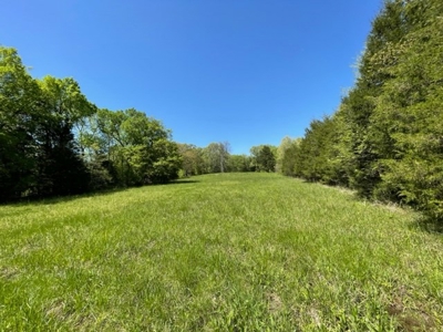Cattle Ranch / Hunting Land For Sale in Arkansas - image 20