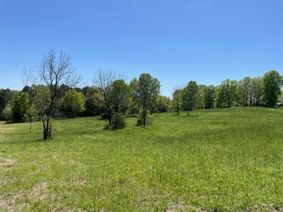 Cattle Ranch / Hunting Land For Sale in Arkansas - image 17