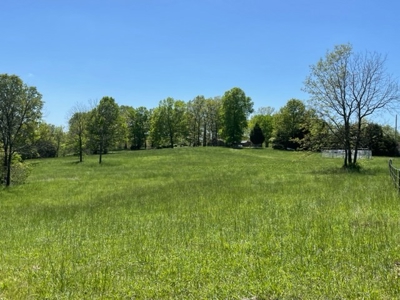 Cattle Ranch / Hunting Land For Sale in Arkansas - image 14