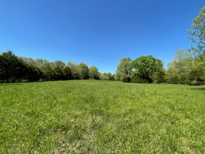 Cattle Ranch / Hunting Land For Sale in Arkansas - image 21