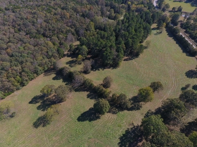 Cattle Ranch / Hunting Land For Sale in Arkansas - image 9