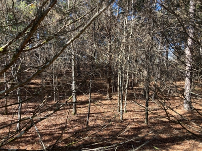 Residential Lot For Sale on the Mountain Ranch Golf Course - image 4