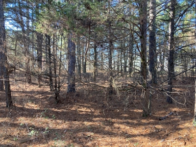 Residential Lot For Sale on the Mountain Ranch Golf Course - image 6