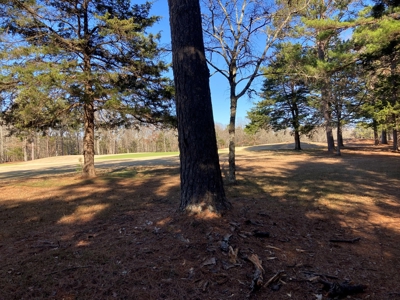 Residential Lot For Sale on the Mountain Ranch Golf Course - image 9
