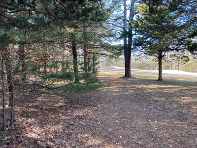 Residential Lot For Sale on the Mountain Ranch Golf Course - image 1