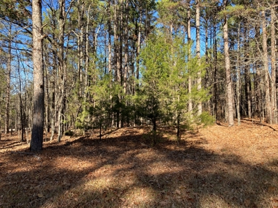Residential Lot For Sale near Mountain Ranch Golf Course - image 4