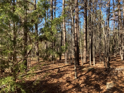 Residential Lot For Sale near Mountain Ranch Golf Course - image 1