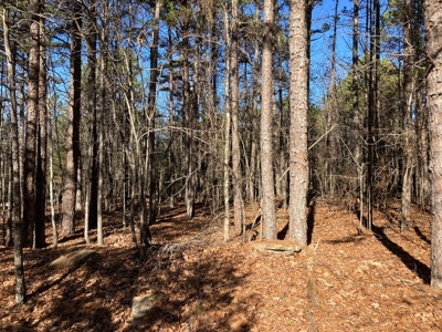 Residential Lot For Sale near Mountain Ranch Golf Course - image 5