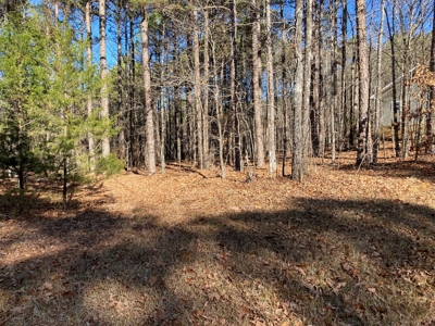 Residential Lot For Sale near Mountain Ranch Golf Course - image 3