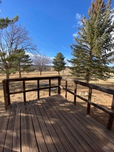 Edgewood, New Mexico 3 bedroom/ 2 bath home on 1.5 Acres! - image 49