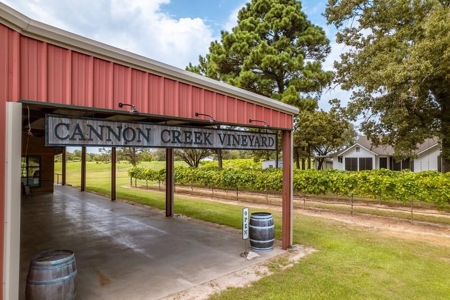 Winery & Vineyard For Sale In Texas - image 1