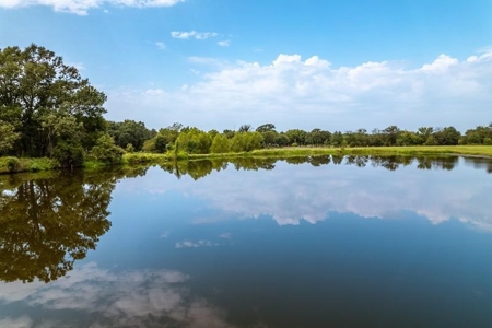 Winery & Vineyard For Sale In Texas - image 39