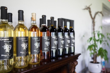Winery & Vineyard For Sale In Texas - image 26