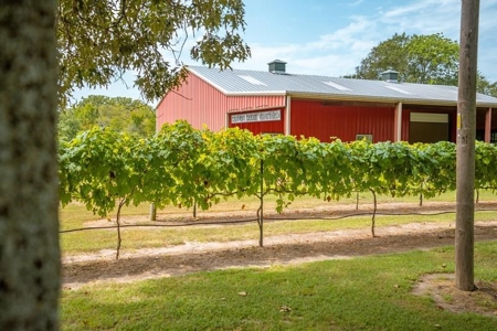 Winery & Vineyard For Sale In Texas - image 20