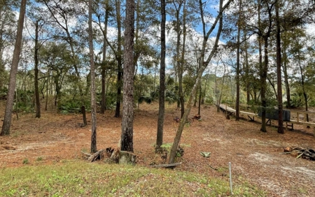 Suwannee Riverfront Property w/ Power, Well & Septic - image 11