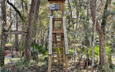 Suwannee Riverfront Property w/ Power, Well & Septic - image 12