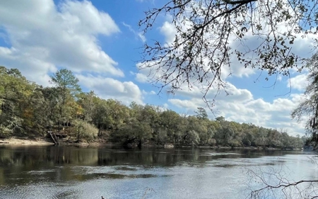 Suwannee Riverfront Property w/ Power, Well & Septic - image 29