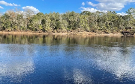 Suwannee Riverfront Property w/ Power, Well & Septic - image 23