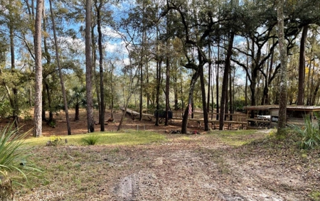 Suwannee Riverfront Property w/ Power, Well & Septic - image 26