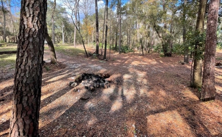 Suwannee Riverfront Property w/ Power, Well & Septic - image 27