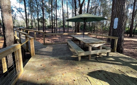 Suwannee Riverfront Property w/ Power, Well & Septic - image 39