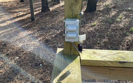Suwannee Riverfront Property w/ Power, Well & Septic - image 40