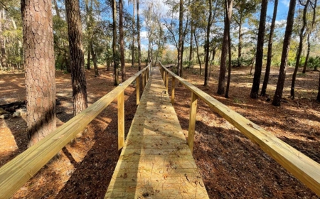 Suwannee Riverfront Property w/ Power, Well & Septic - image 4