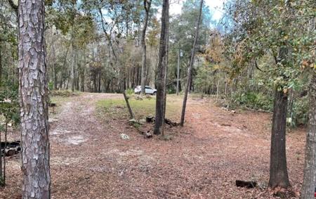 Suwannee Riverfront Property w/ Power, Well & Septic - image 16