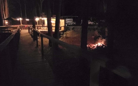 Suwannee Riverfront Property w/ Power, Well & Septic - image 45