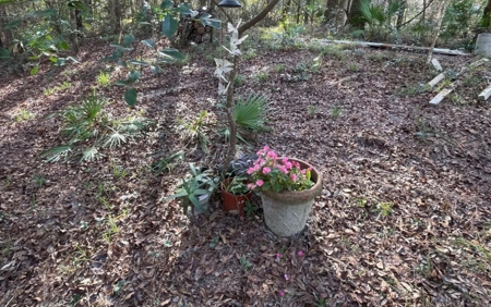 Suwannee Riverfront Property w/ Power, Well & Septic - image 42