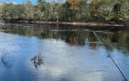 Suwannee Riverfront Property w/ Power, Well & Septic - image 22